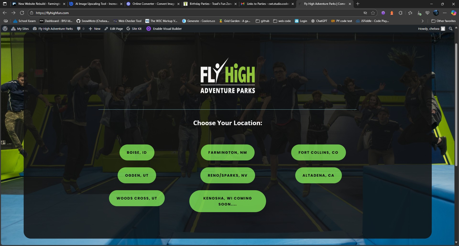 Fly High Adventure Park Landing Page